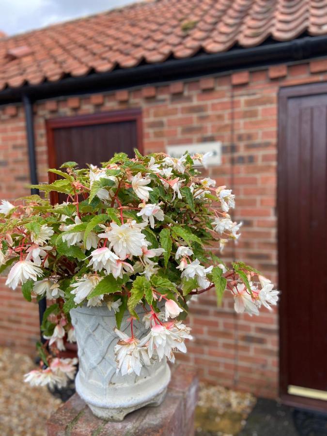 Willow Tree Cottages Newark upon Trent Esterno foto