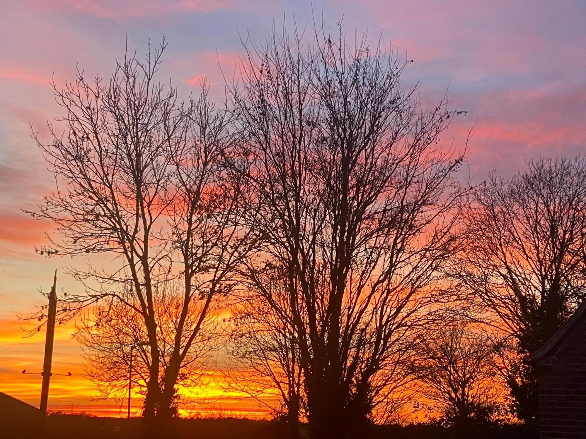 Willow Tree Cottages Newark upon Trent Esterno foto
